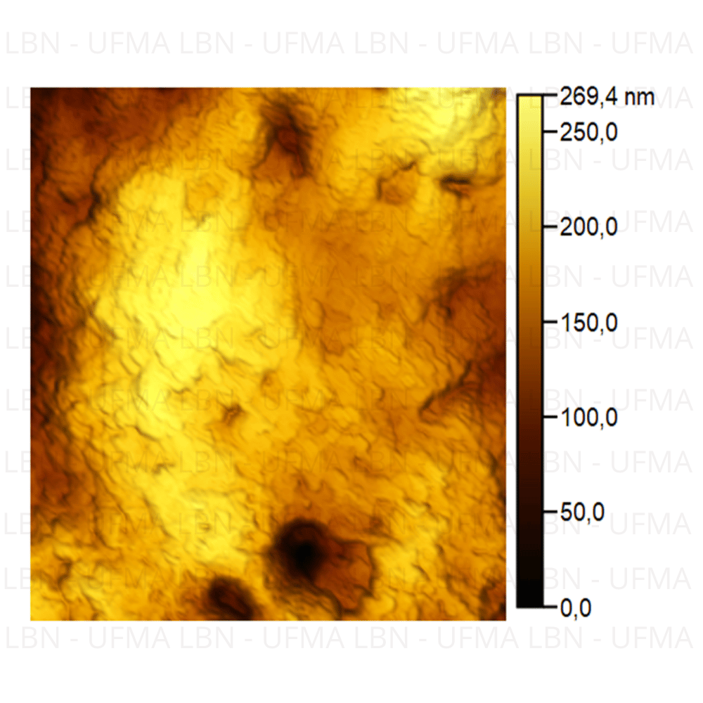 Melanoma 2